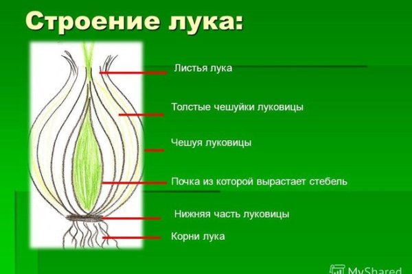 Как оформить оплату на меге через киви