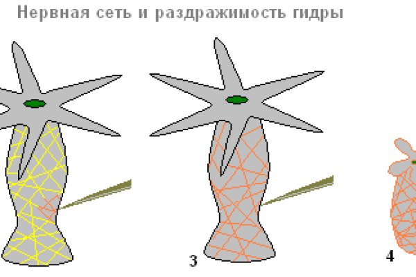 Кто крышует мегу